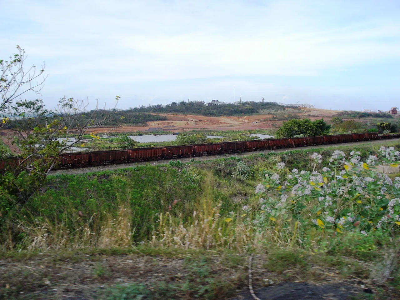 139.JPG