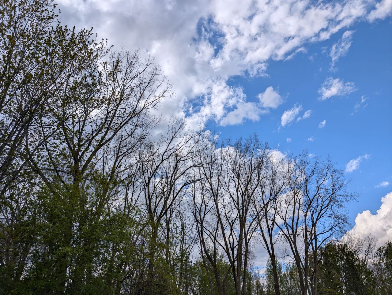 PXL_20260509_213513963.jpg