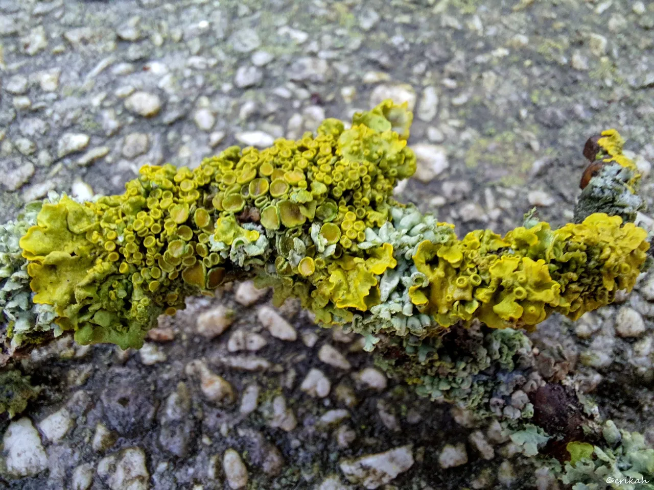 20211225_124652s.jpg