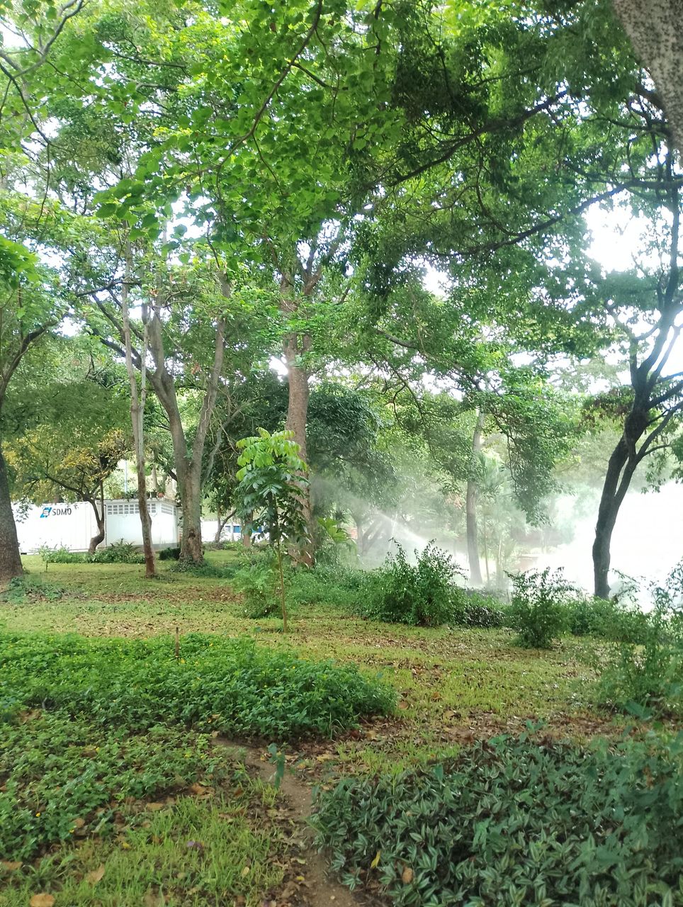 IMG_20260518_080639.jpg
