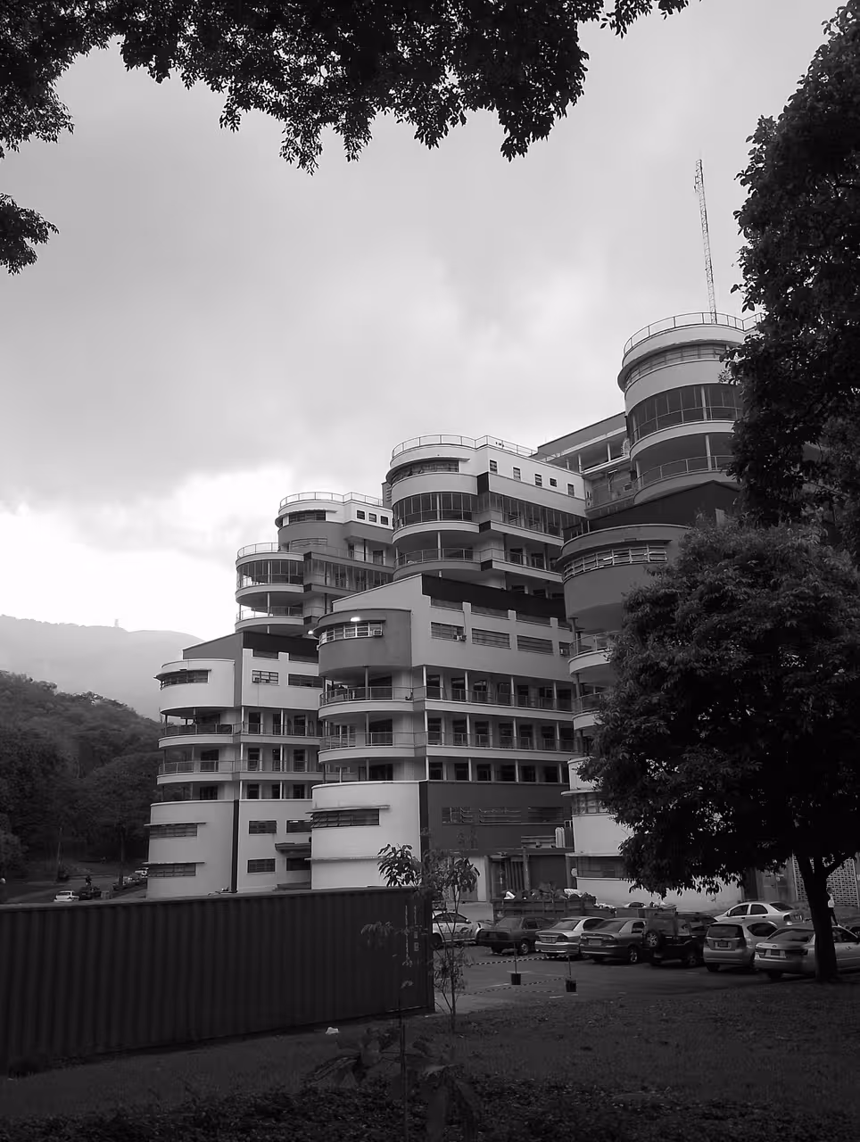 IMG_20260518_081013.jpg