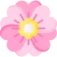 sakura (4).png