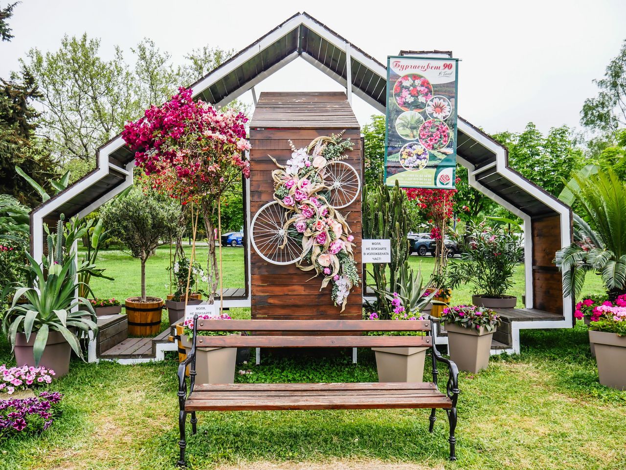 flowers (49 of 92).jpg