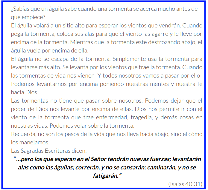 screenshotdavidnesher.com.ar2019.09.2721_40_52.png