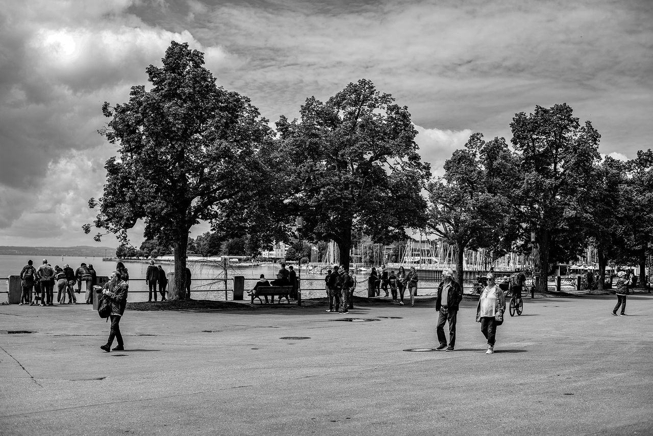 Green Oasis by Lake Constance//MONOMAD CHALLENGE