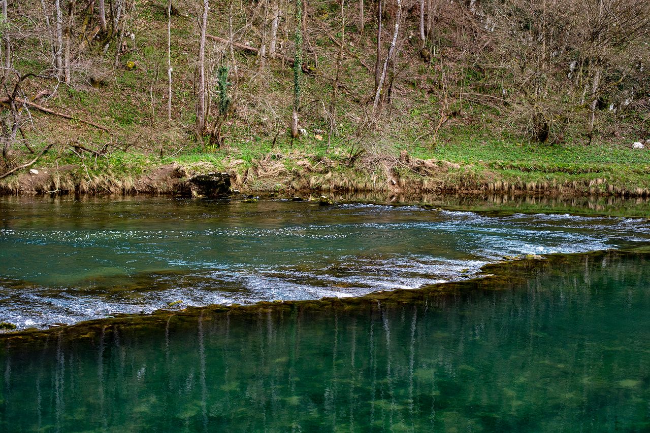 The beauty of the Dobra River