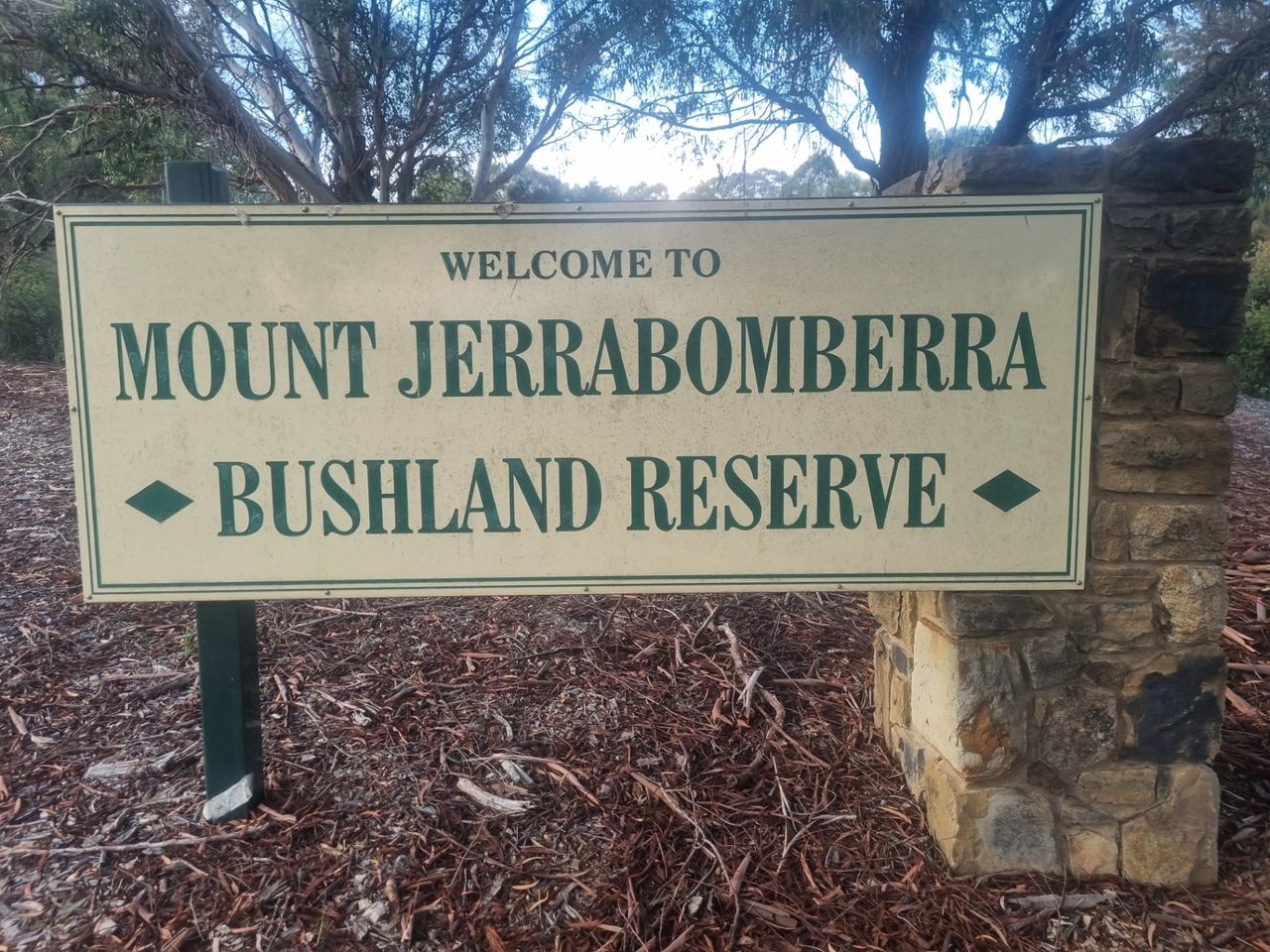Jerrabomberra parkrun looked a little challenging, especially as the description basically read it was 2.5 kilometres up a mountain before looping around and coming straight back down. Luckily it was not that steep or technical, just a steady incline on a well-maintained gravel fire trail access road. Very runnable, though it did take 18 or 19 minutes for me to get to the top before a much quicker decent giving me an overall time of 30 and a half minutes. I would have been a little quicker if I did not stop for a few photos.