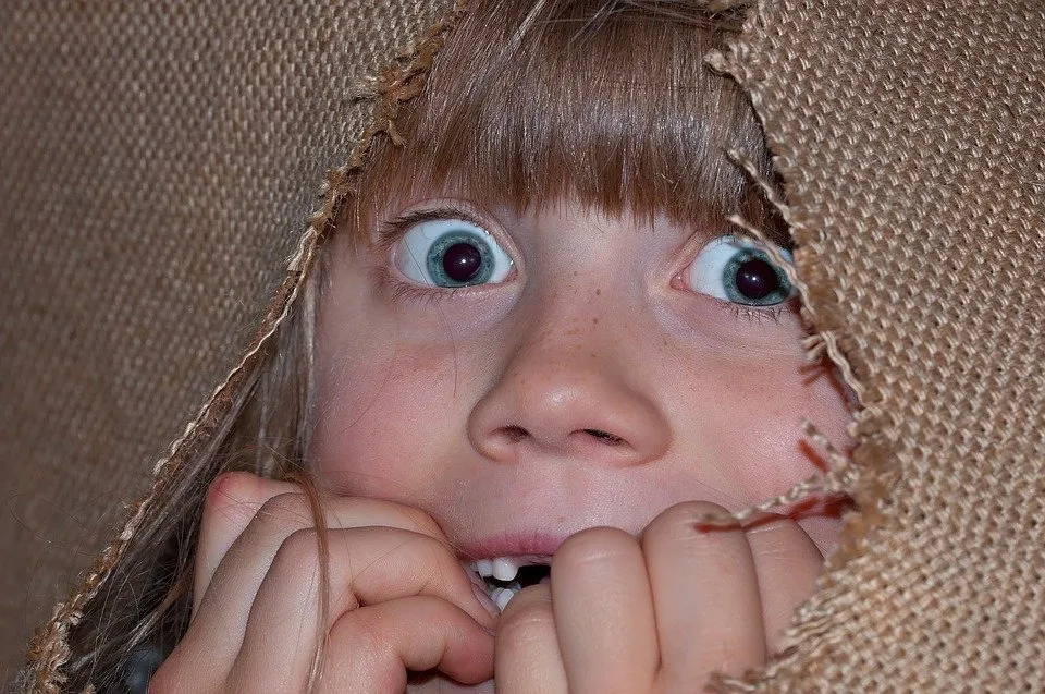 Scared. Very, very scared. Like, hide in a burlap bag, scared