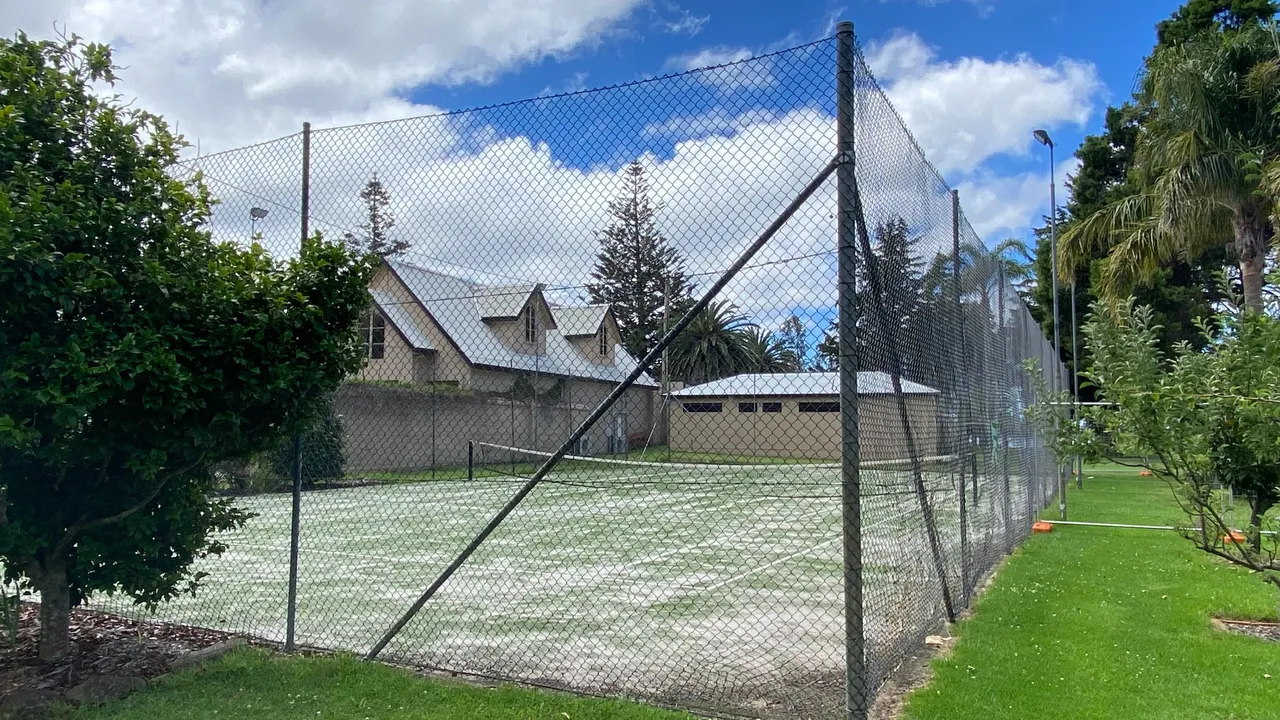 tennis court.png