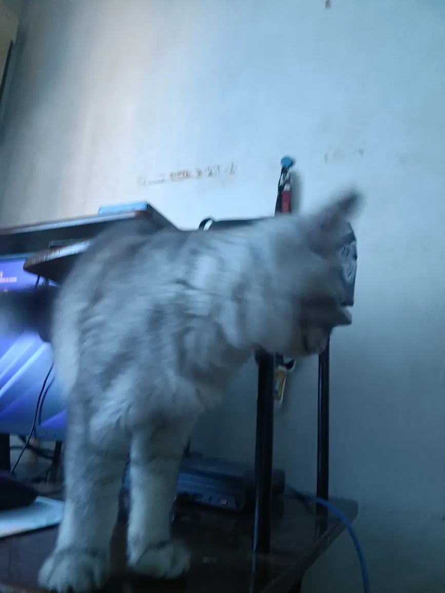 30.jpeg