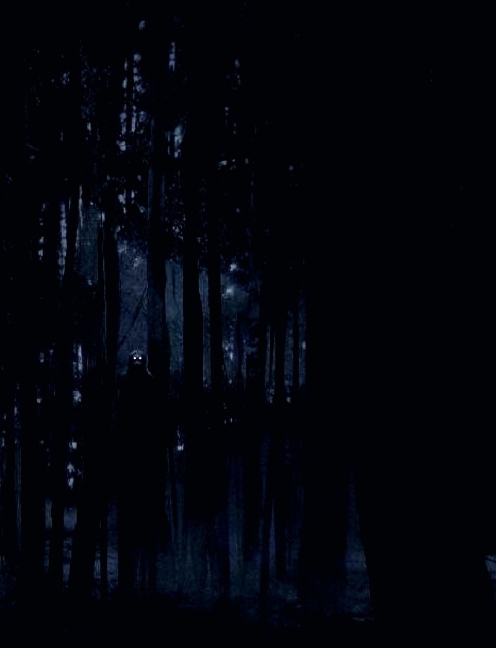 Screenshot_20260223_201000.jpg
