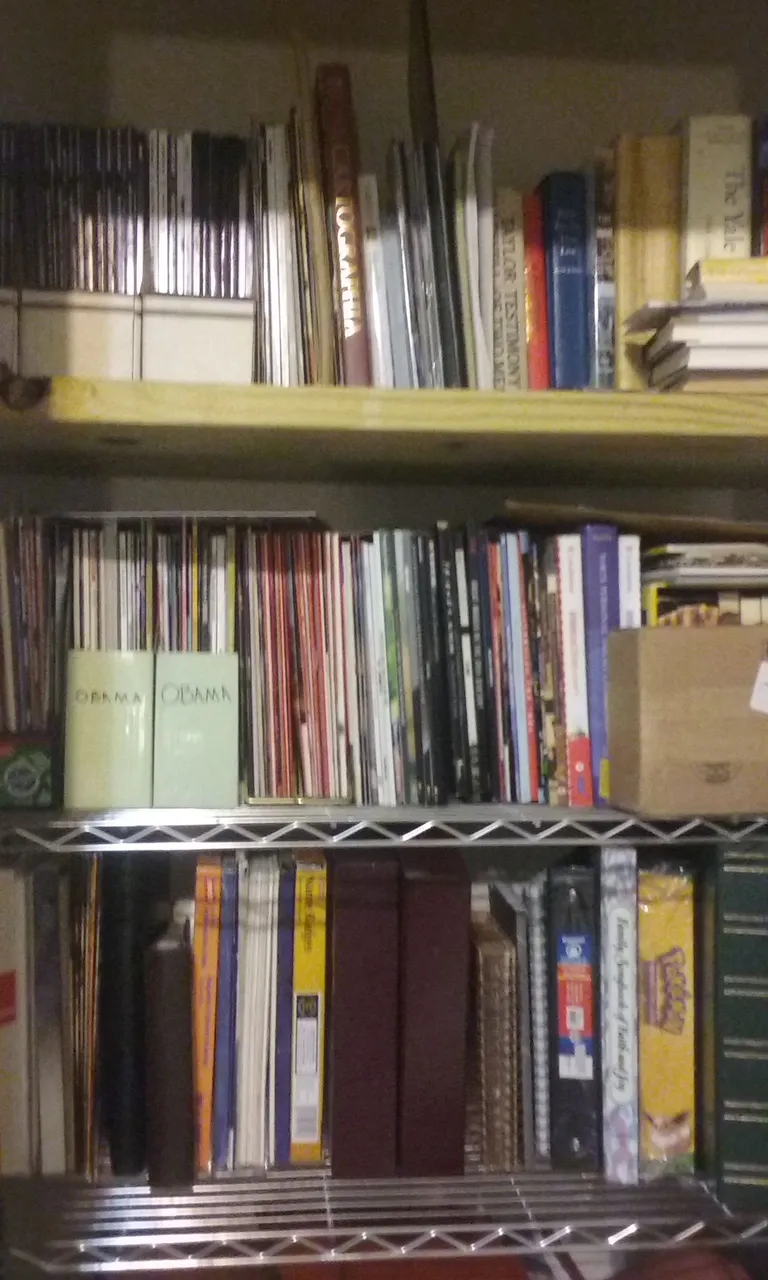 20230825_113919.jpg