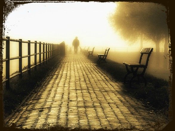 camino.jpg
