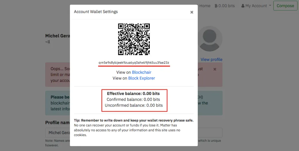 My First Blog Post on the Bitcoin Cash Blockchain!
