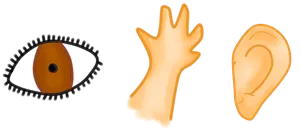 varios.png
