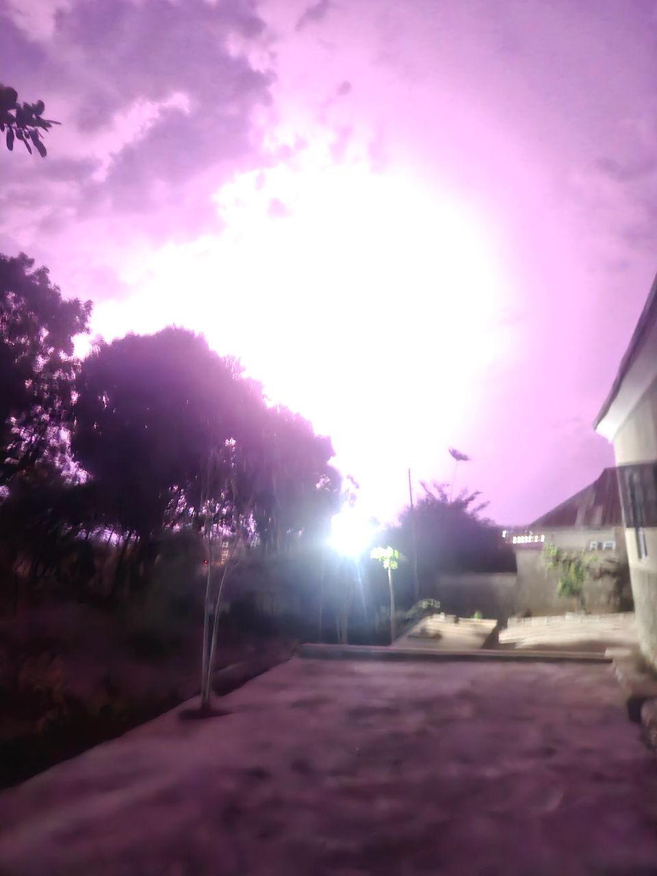 PURPLE LIGHTNING