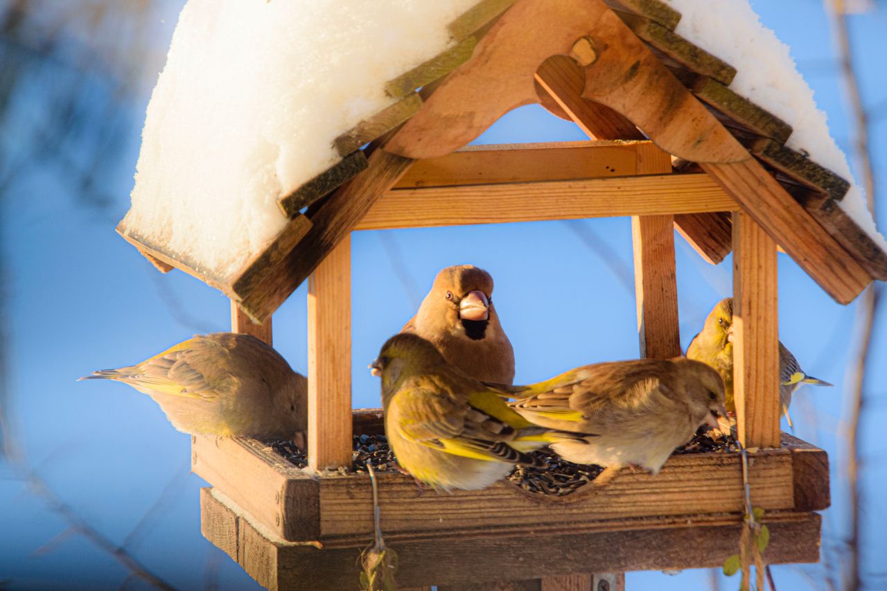Show Me A Photo Contest Round - The Shortest Day Of The Year
