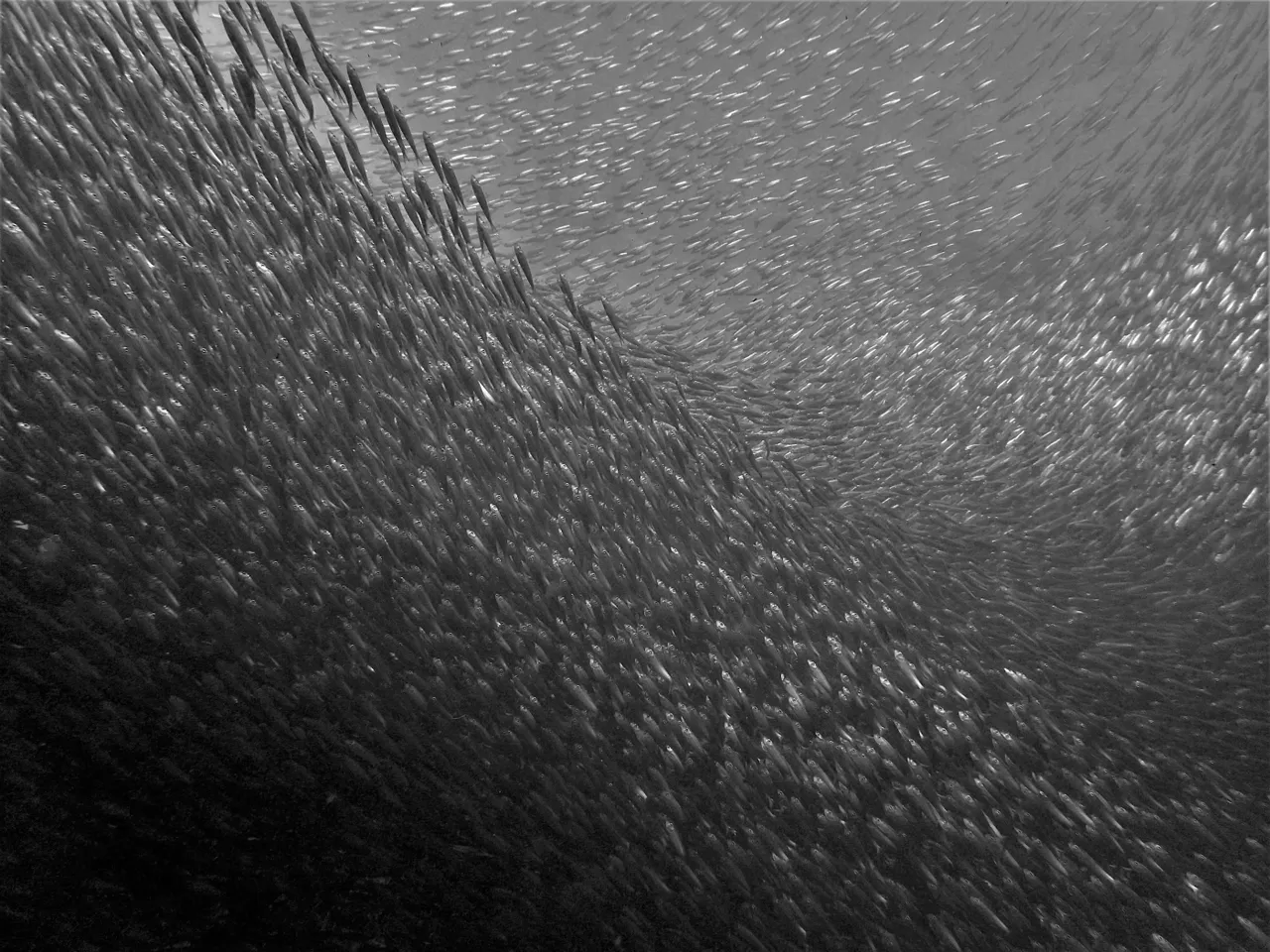 storm 3 (2).jpg