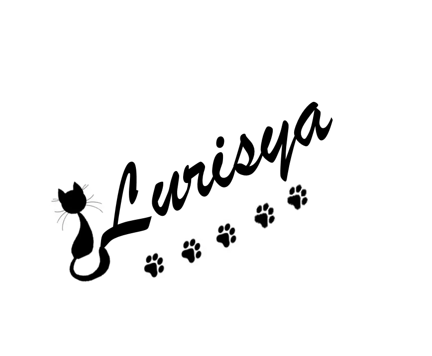 banner gato.png