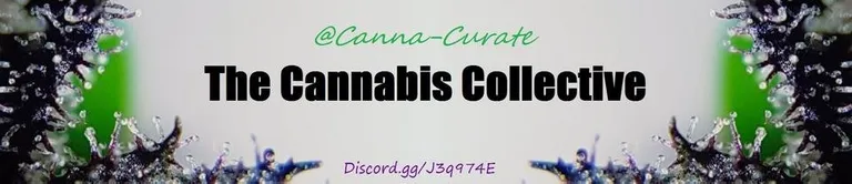 cannacurate.png