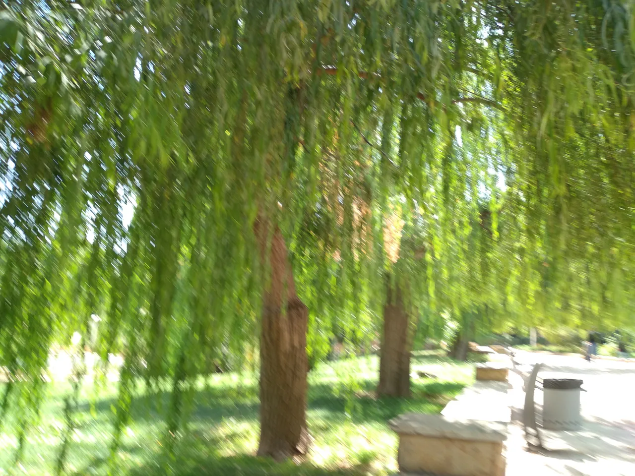20230728_113351.jpg