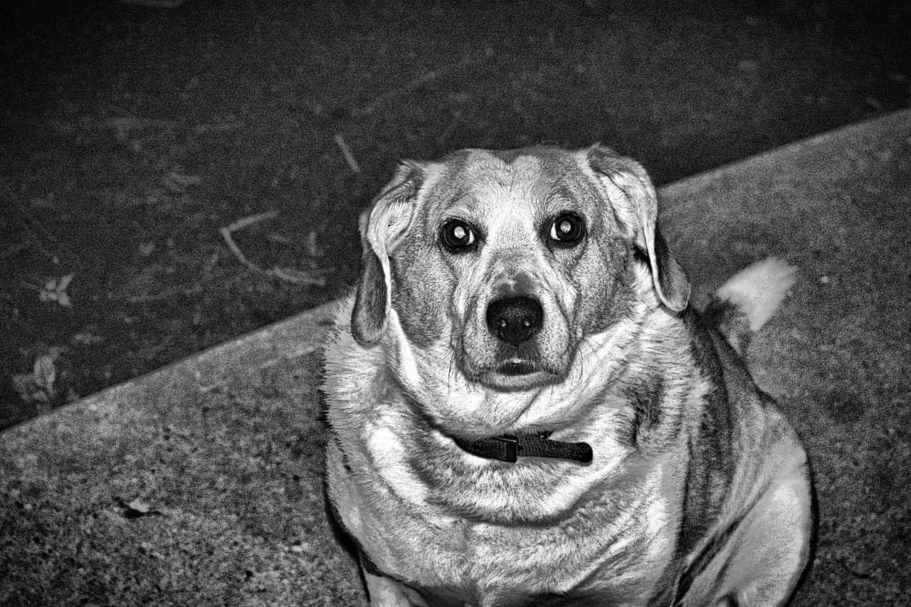 DSC_0007-1.jpg