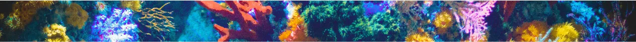 fishheader.jpg