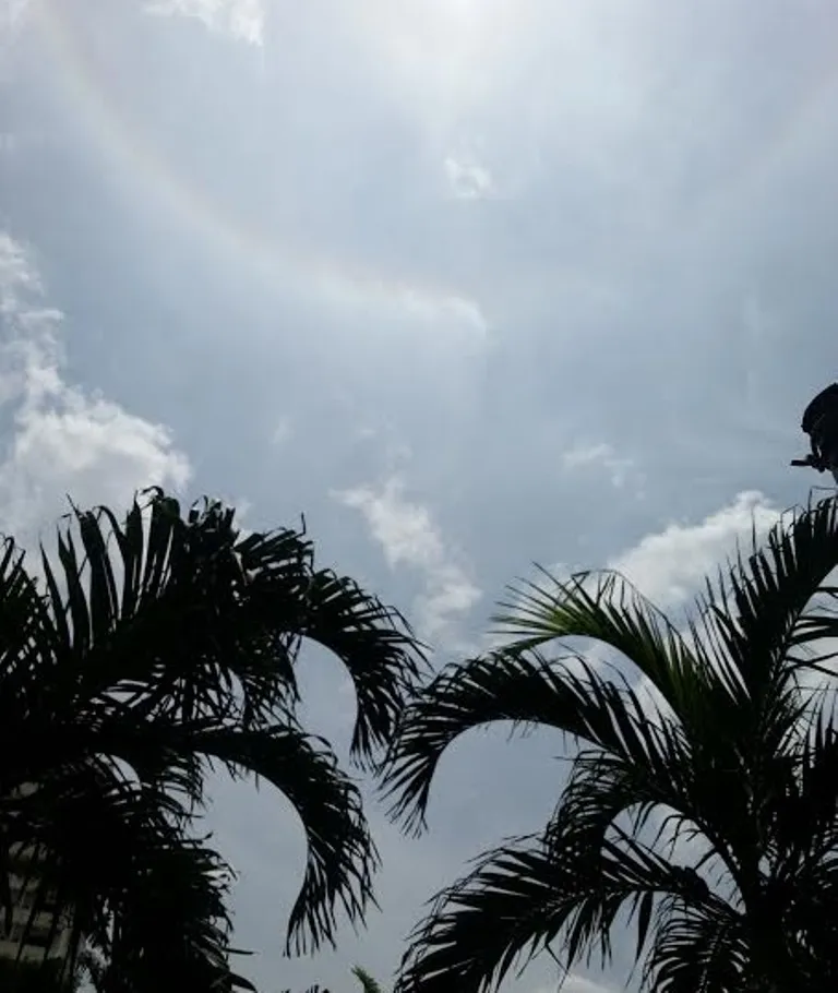 sun halo13.jpg