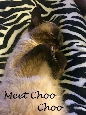 Choo Choo2.jpg