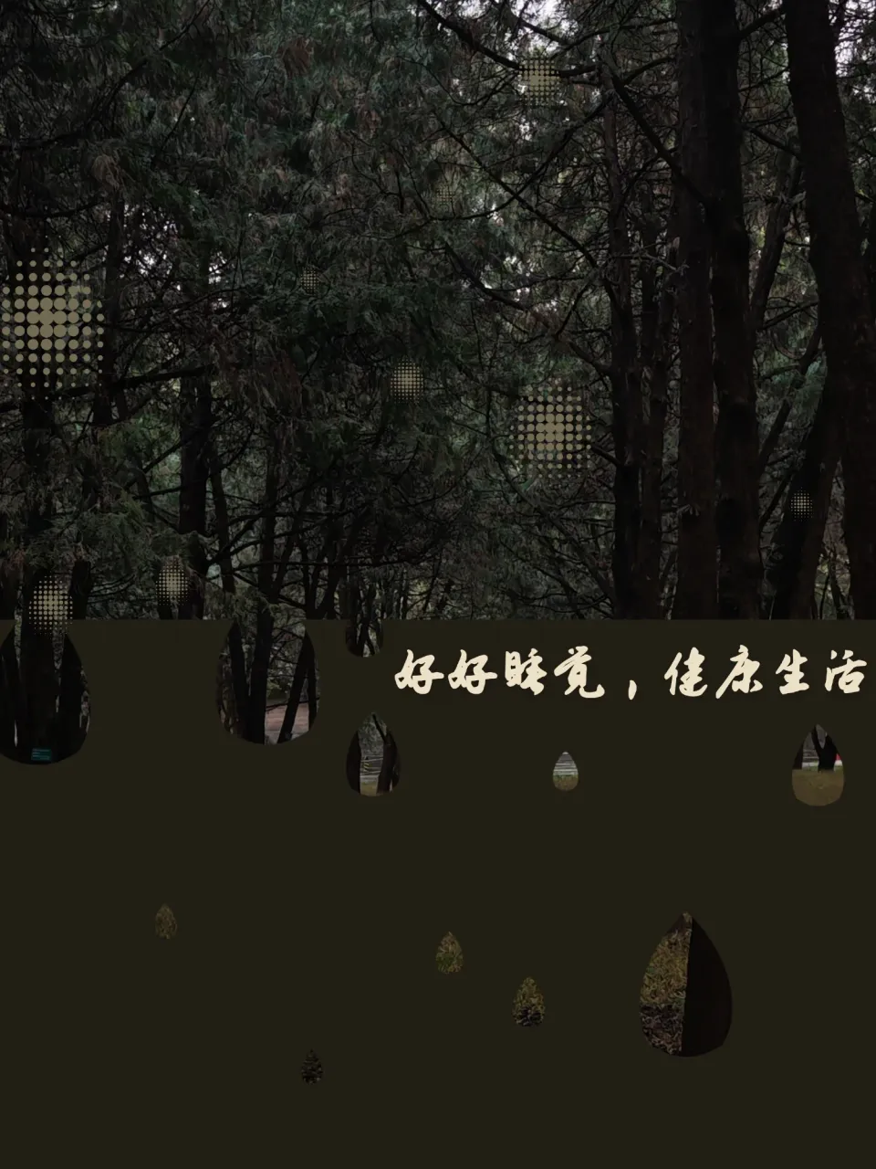 cj2PZV9EjAmuX5P5_walkcolor.webp