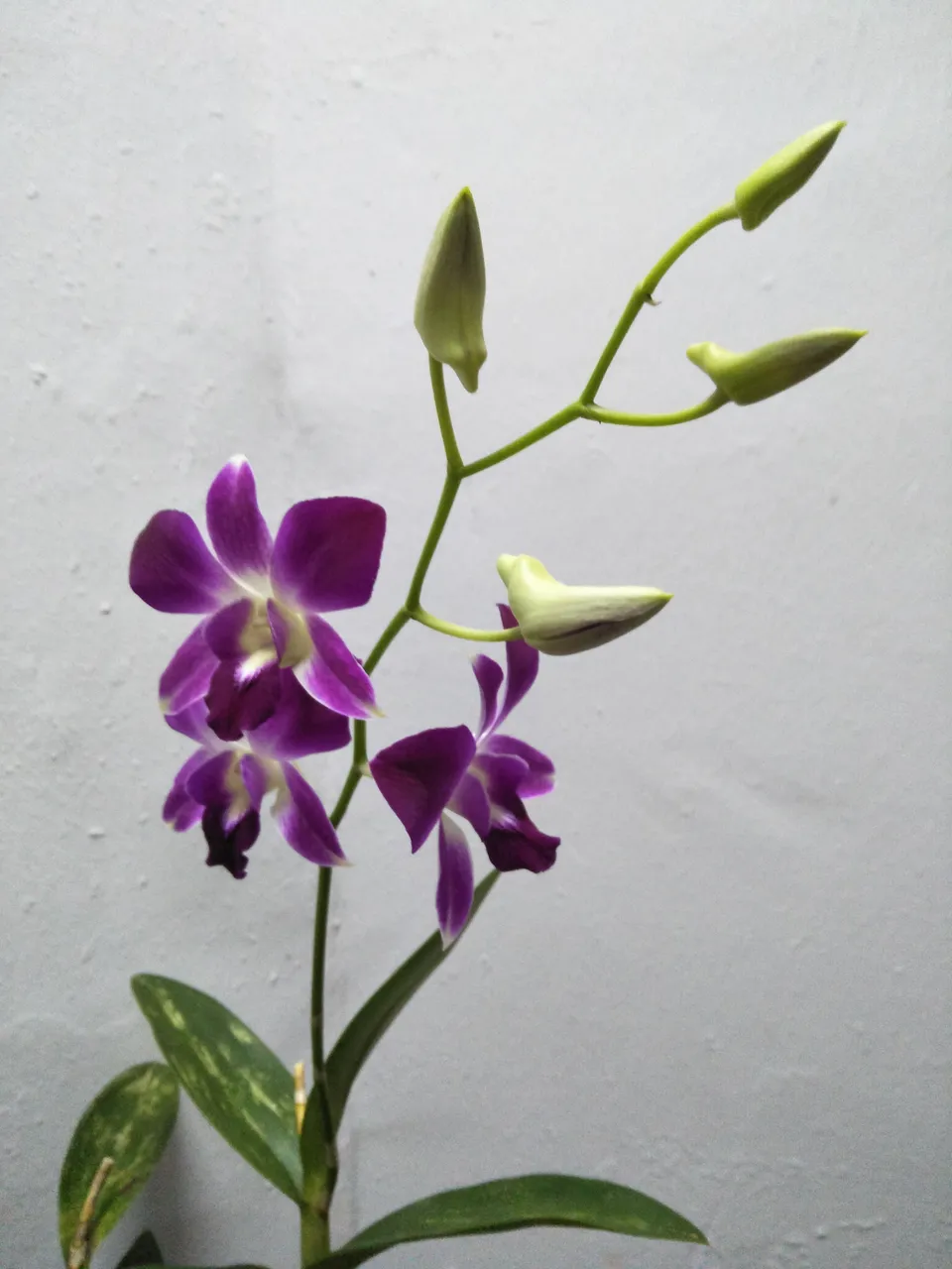 IMG20201113193559.jpg