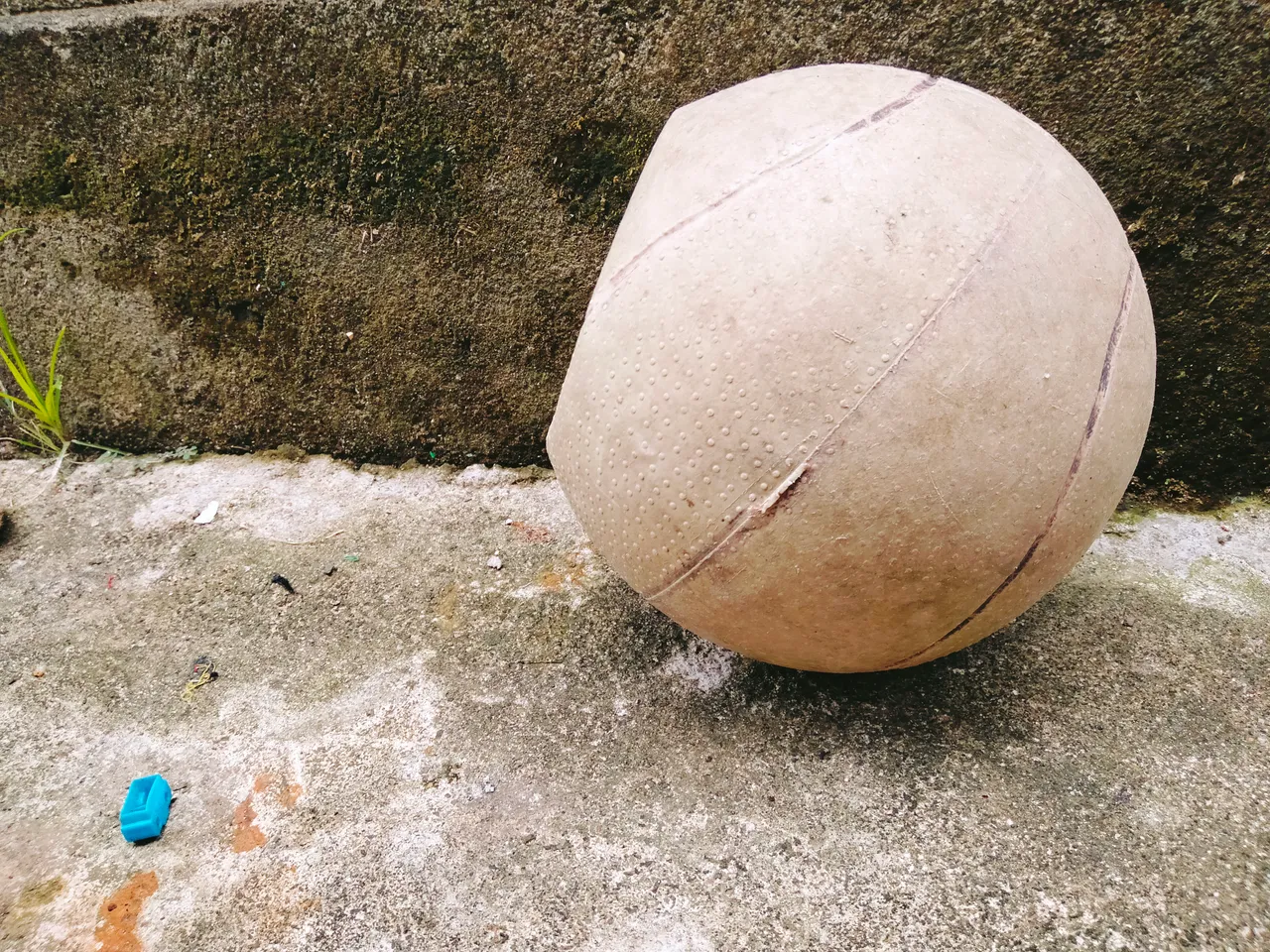 IMG20210604153734.jpg