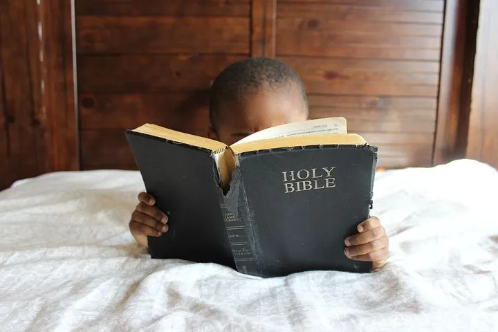 child-945422__480.jpg