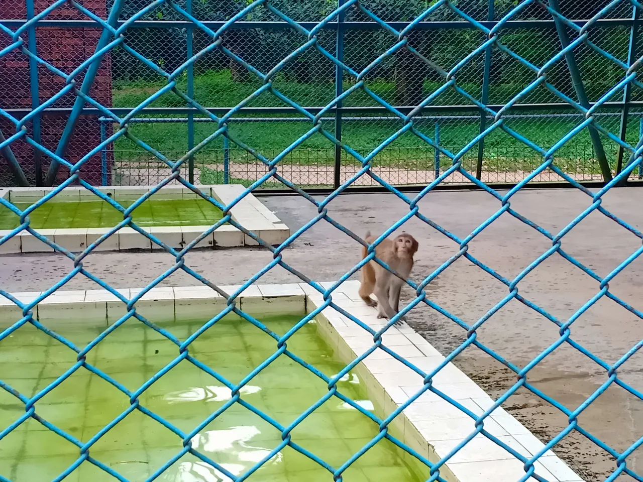 IMG20180919165734.jpg
