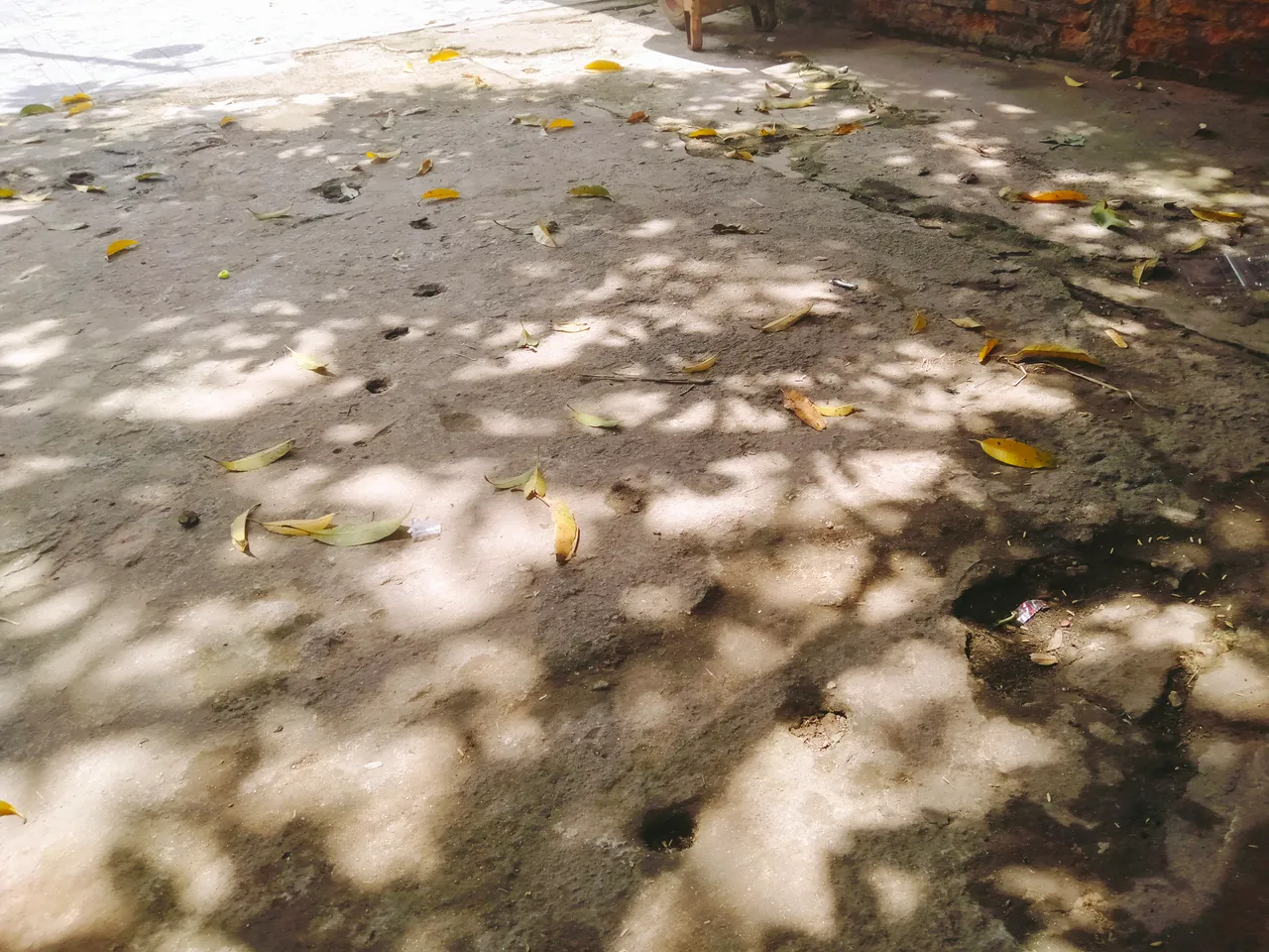 IMG20210901134829.jpg