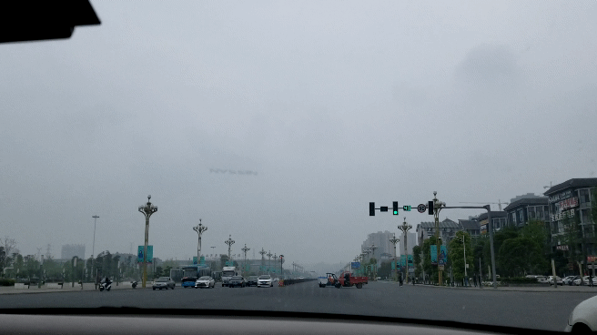20190415_122155_1.gif