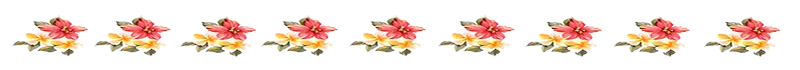 separadorvaleria6.png