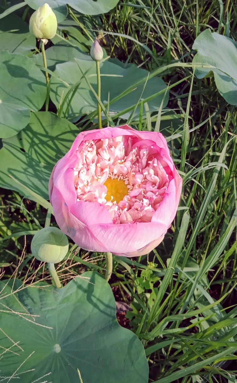 IMG20190506082051.jpg