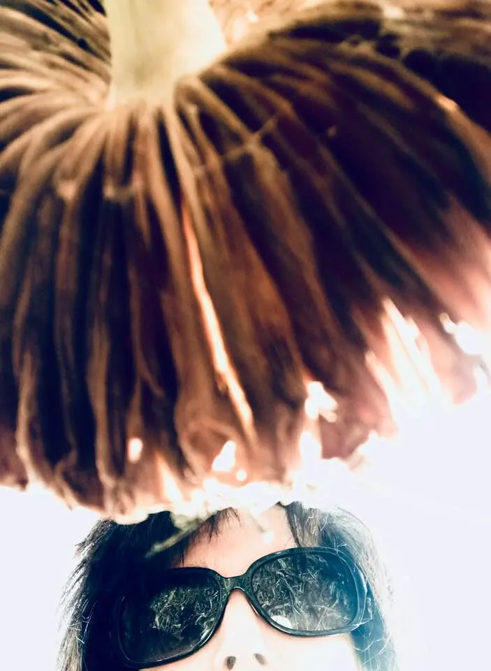 Trippy Mushroom 1.jpg