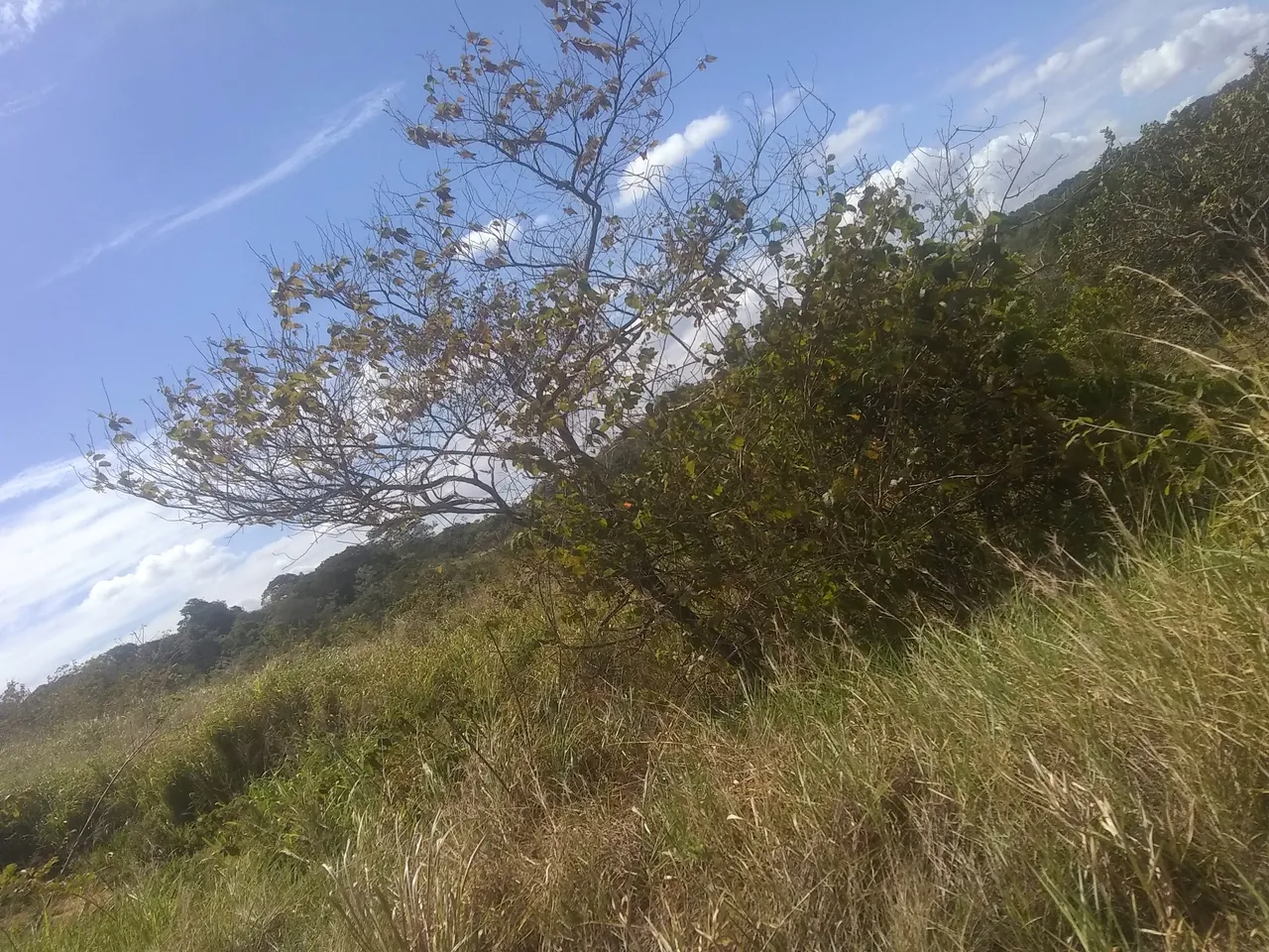 IMG_20220122_122103859.jpg