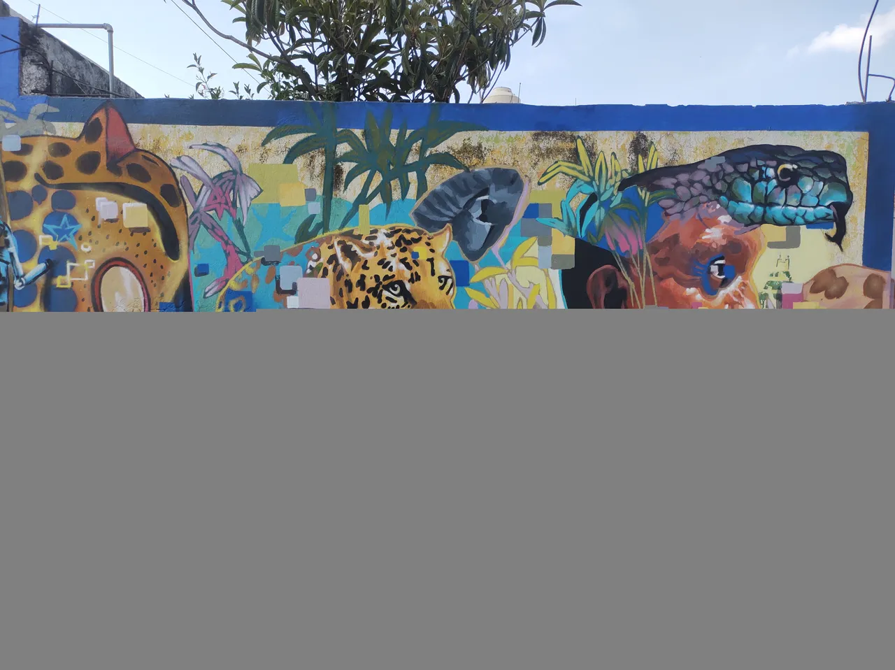 IMG_20201214_134347926.jpg
