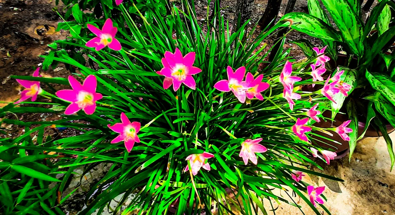 PicsArt_08-16-01.37.07.jpg