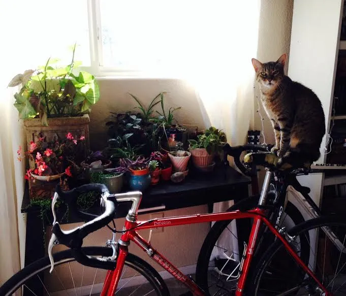 TheShevaOnBrian'sBike.jpg