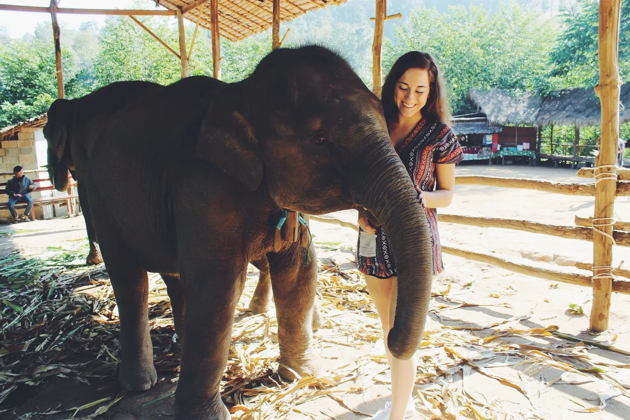 elephant sanctuary 04.JPG