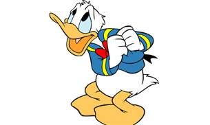 duck_305_060916114815.jpg