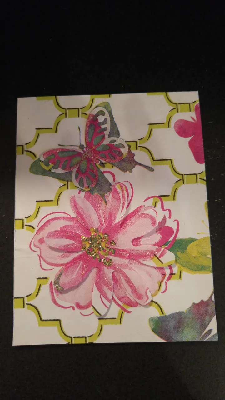 Butterflies N Flowers.jpg