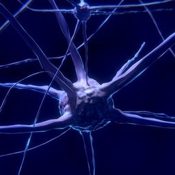 a-neuron