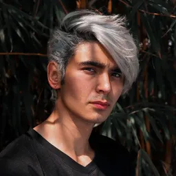 acxelpic