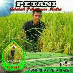 ajirfm