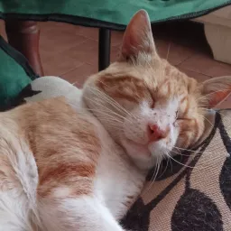 alaurab